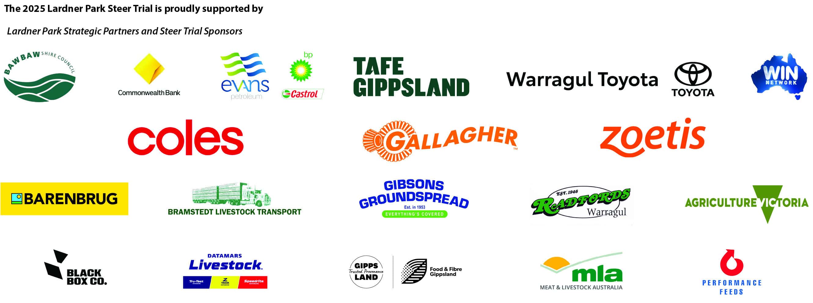2025 Sponsor logo BANNER use 2025 Sponsor logo BANNER use