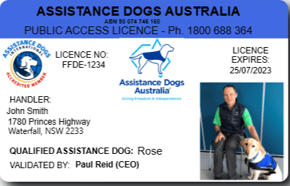 Assistance Dogs 01