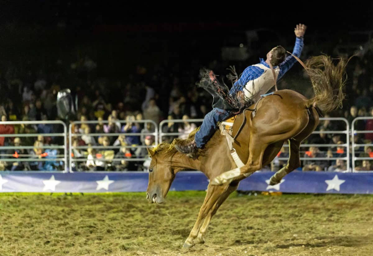 Farm World Rodeo